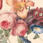 Vibrant Tropical Pieces